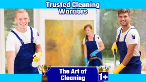 Cleaning Warriors in La Porte TX
