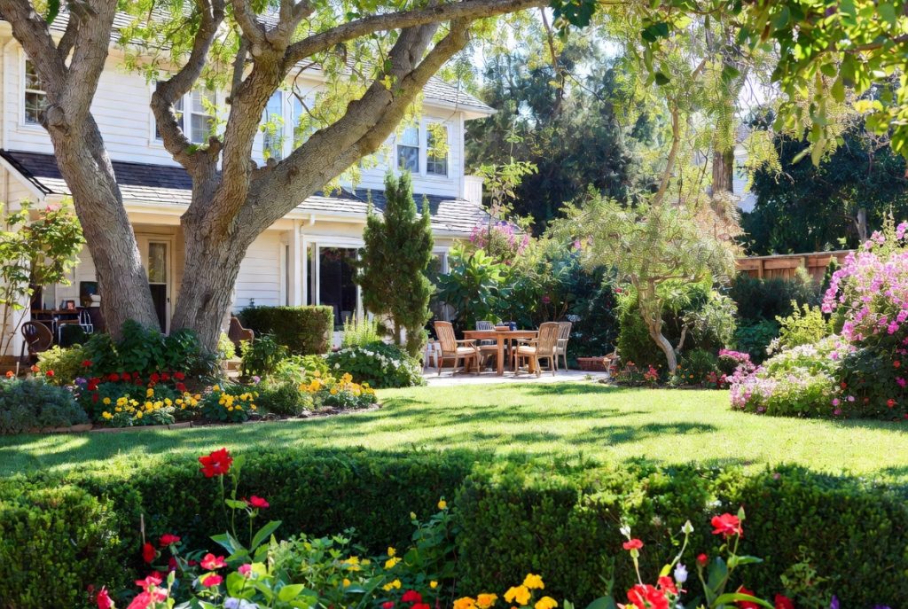 Landscaping Backyard | Landscaping